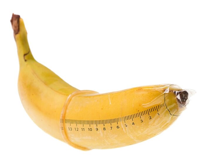Optimálna veľkosť vzpriameného penisu je 10-16 cm